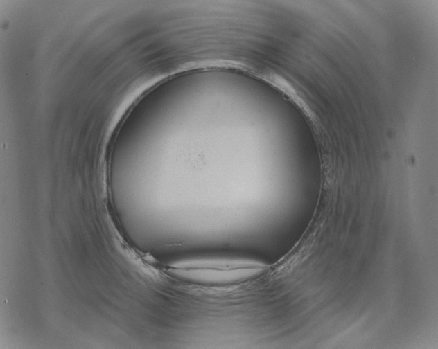 X0000070361140200606231616