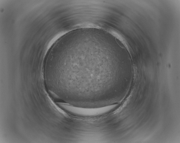 X0000070361141200606231616