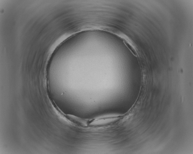 X0000070361143200606231616