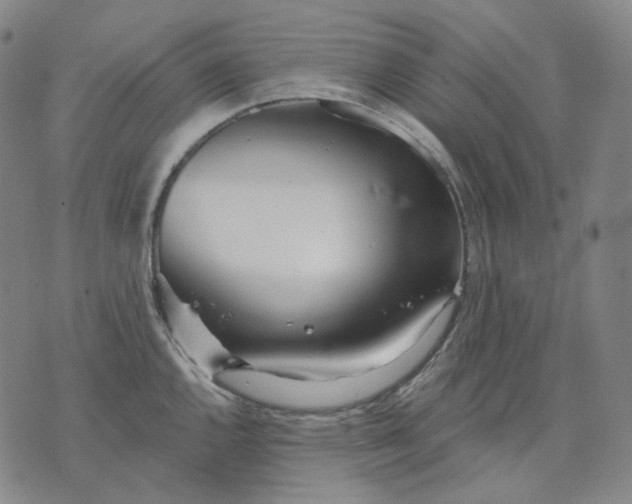 X0000070361144200606231616