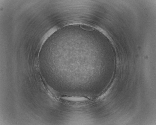 X0000070361145200606231616