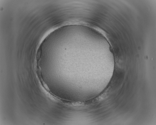 X0000070361147200606231616