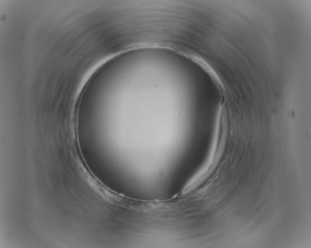 X0000070361148200606231616