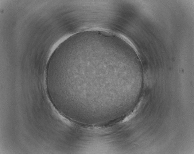 X0000070361149200606231616