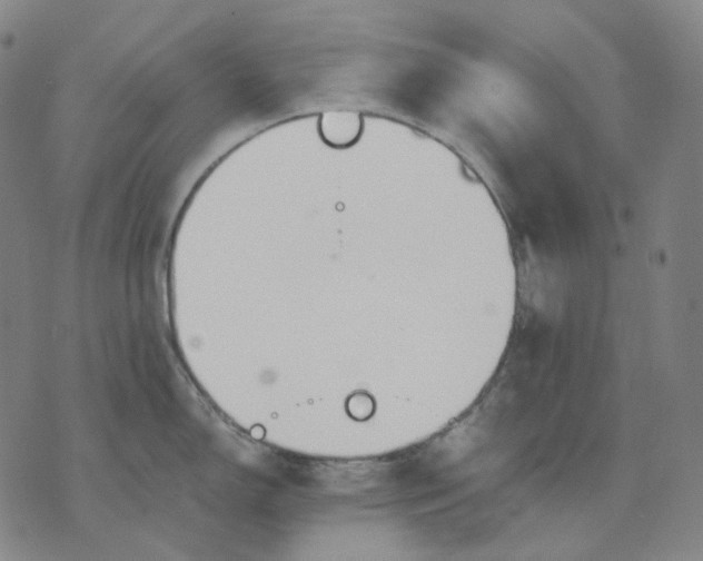 X0000070361150200606231616