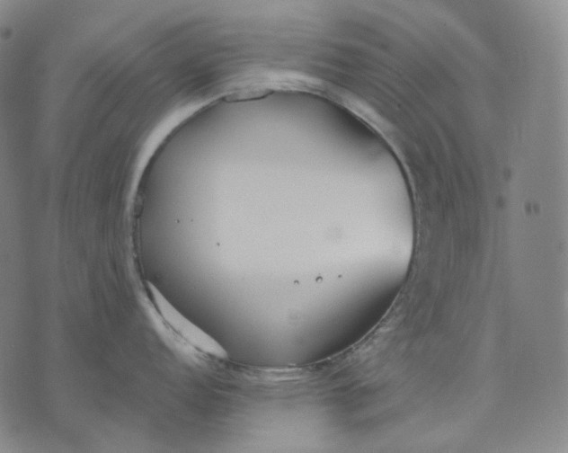 X0000070361152200606231616