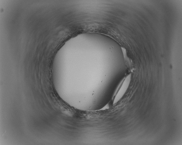 X0000070361153200606231615