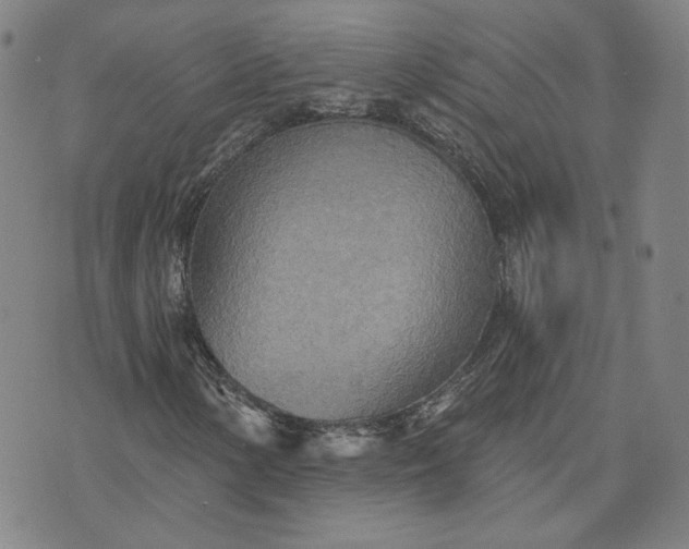 X0000070361154200606231615