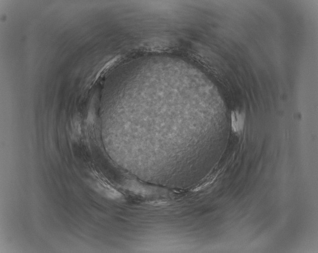 X0000070361155200606231615