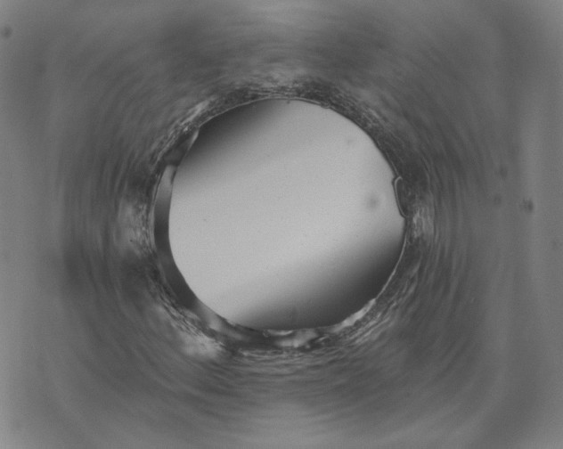 X0000070361156200606231615