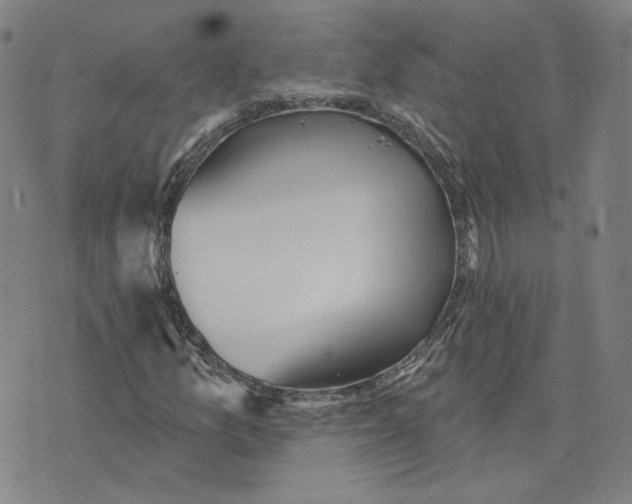 X0000070361157200606231615