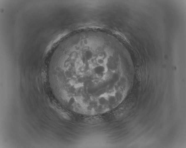 X0000070361159200606231615