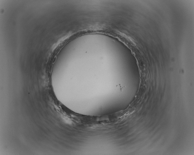 X0000070361160200606231615