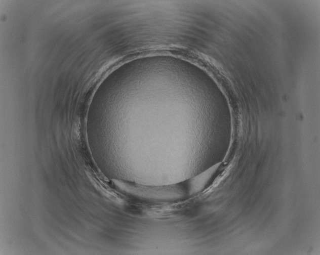 X0000070361161200606231615