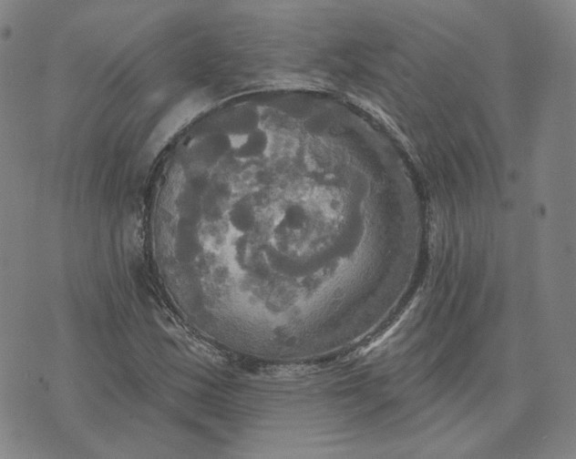 X0000070361163200606231615