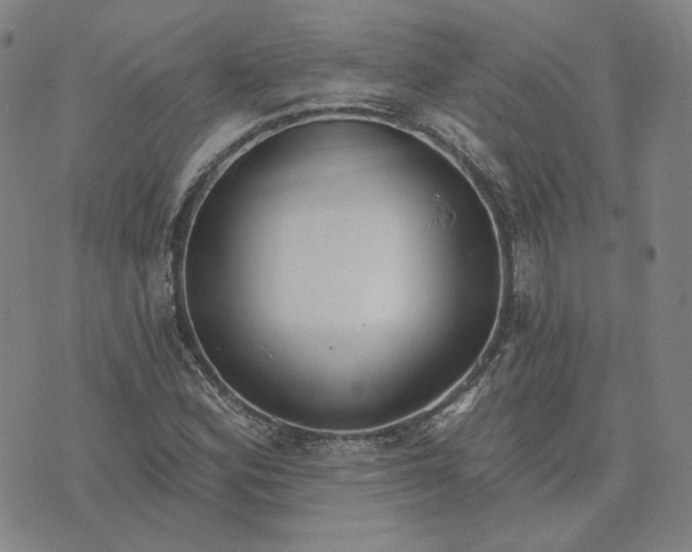 X0000070361164200606231615