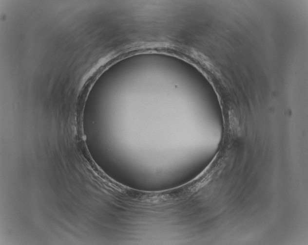 X0000070361165200606231615