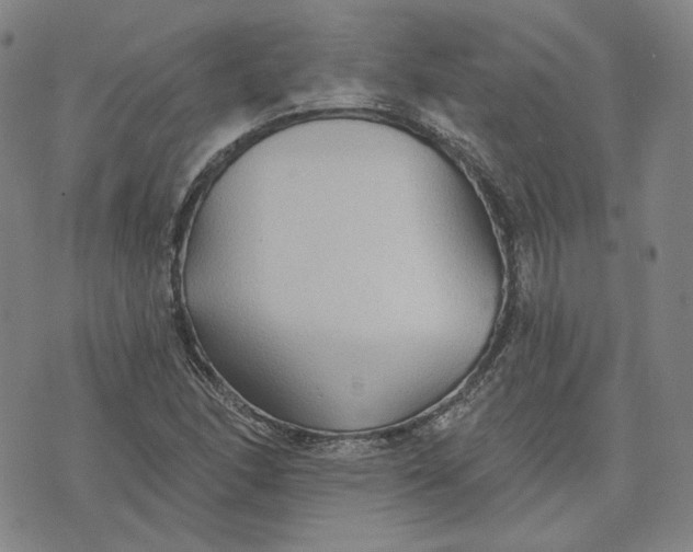 X0000070361166200606231615