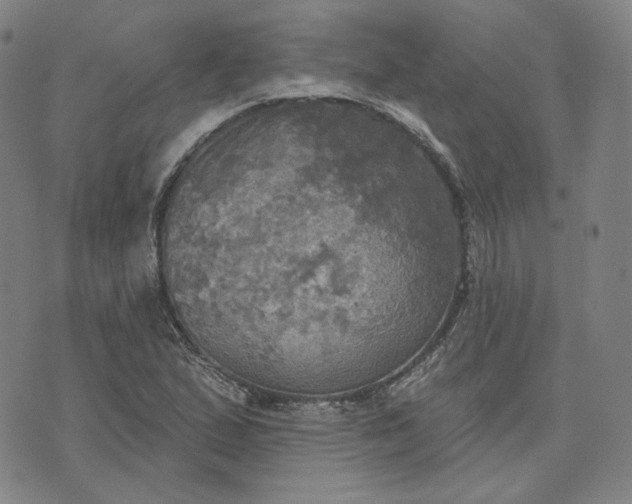 X0000070361167200606231615