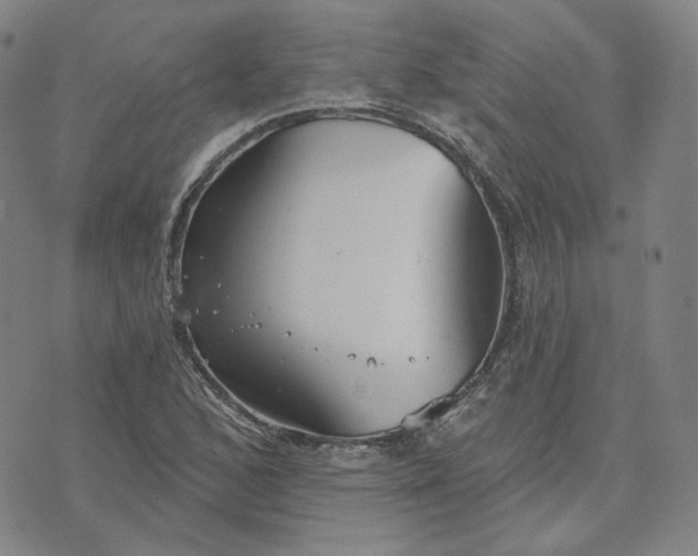 X0000070361168200606231615