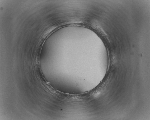 X0000070361169200606231615