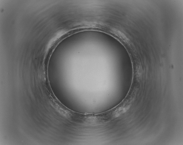 X0000070361172200606231615