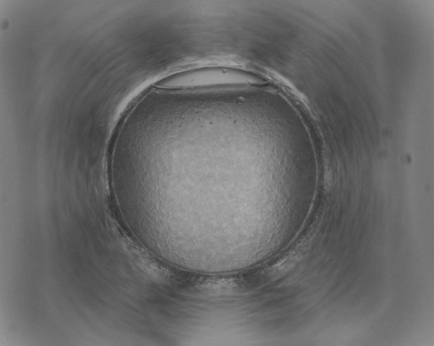 X0000070361174200606231615