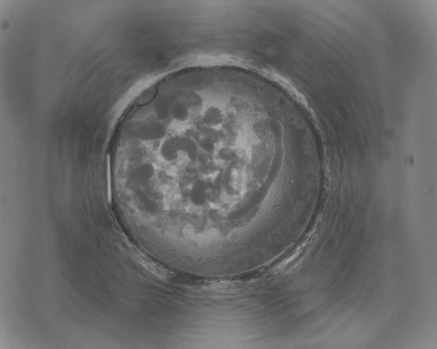 X0000070361175200606231615