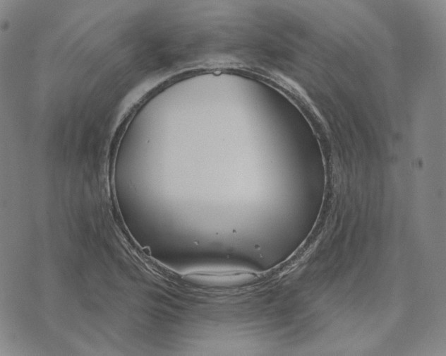 X0000070361176200606231615