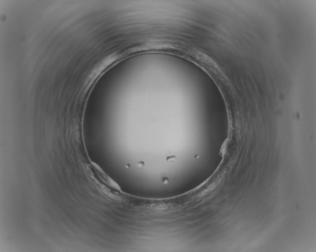 X0000070361177200606231615