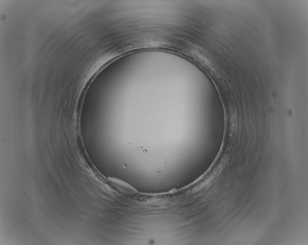 X0000070361178200606231615