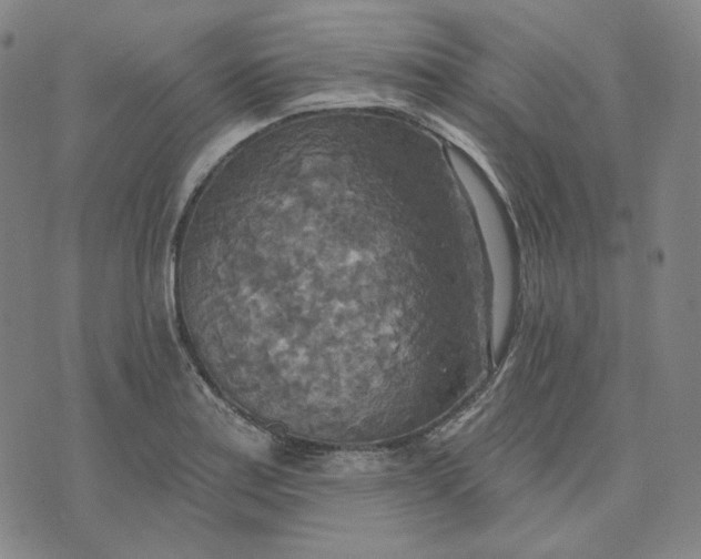 X0000070361179200606231615