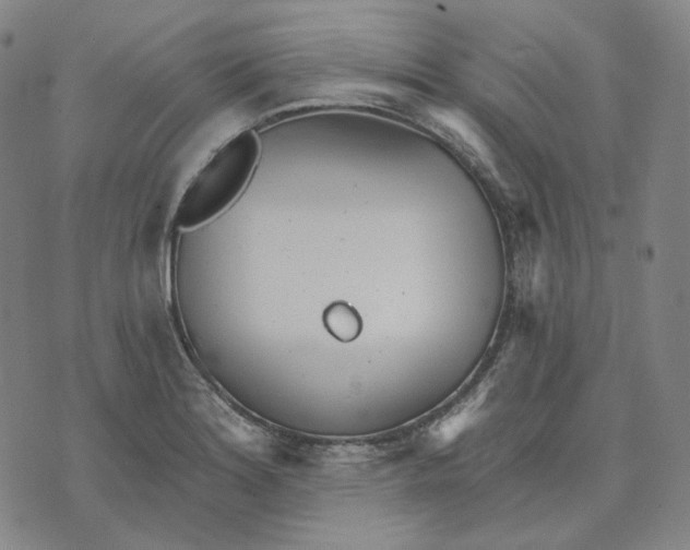 X0000070361180200606231615