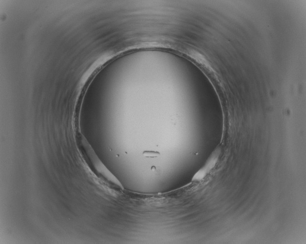 X0000070361181200606231615