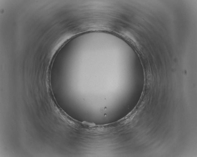 X0000070361182200606231615