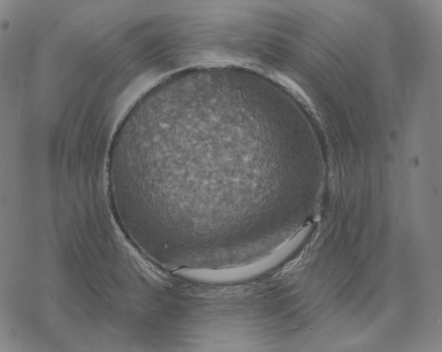 X0000070361183200606231615