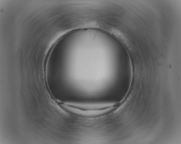 X0000070361184200606231615