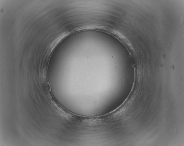 X0000070361185200606231615