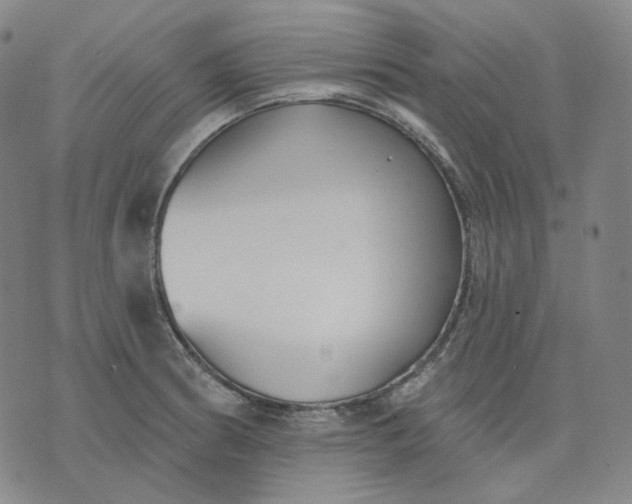 X0000070361186200606231615