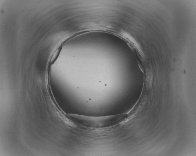 X0000070361188200606231614