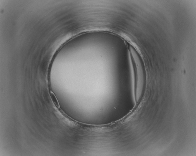 X0000070361189200606231614