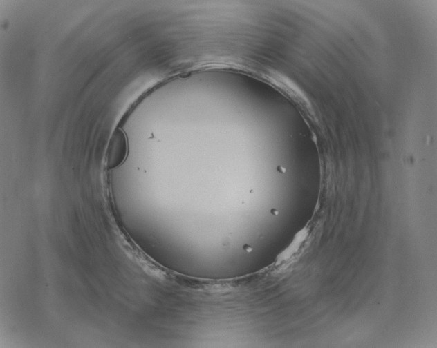 X0000070361190200606231614