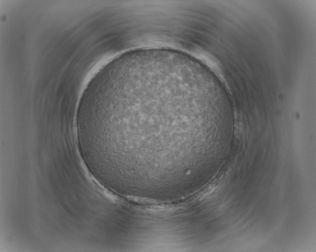 X0000070361191200606231614