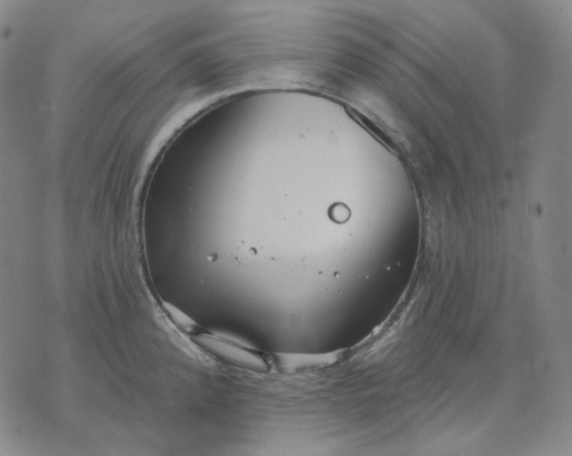 X0000070361192200606231614