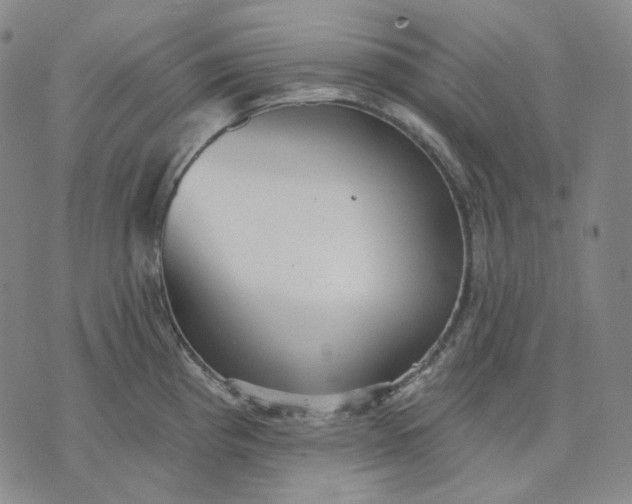 X0000070361193200606231614