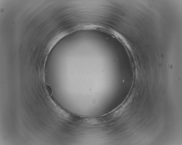 X0000070361194200606231614