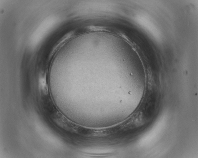 X0000070361198200606231614