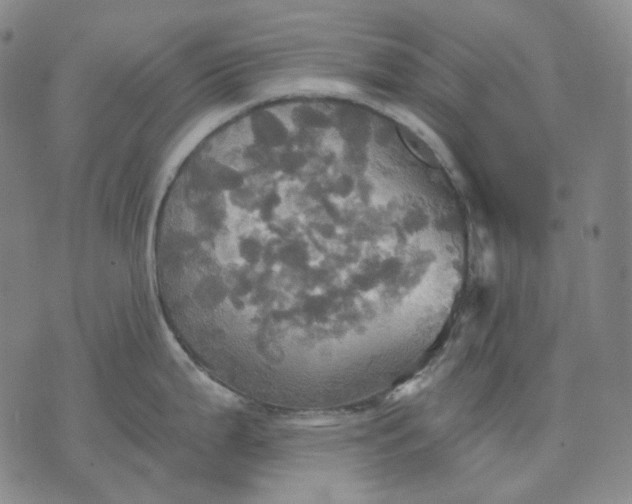 X0000070361199200606231614