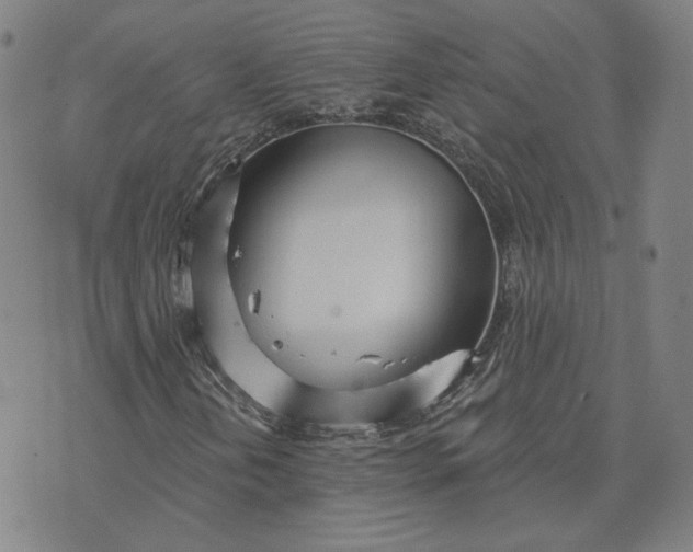 X0000070361202200606231614