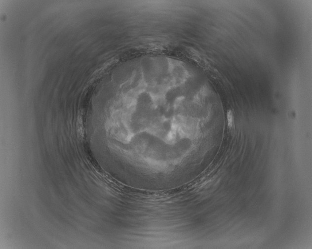 X0000070361203200606231614